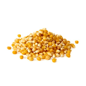 corn