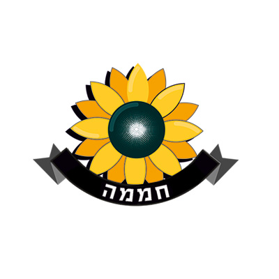 ממלא מקום